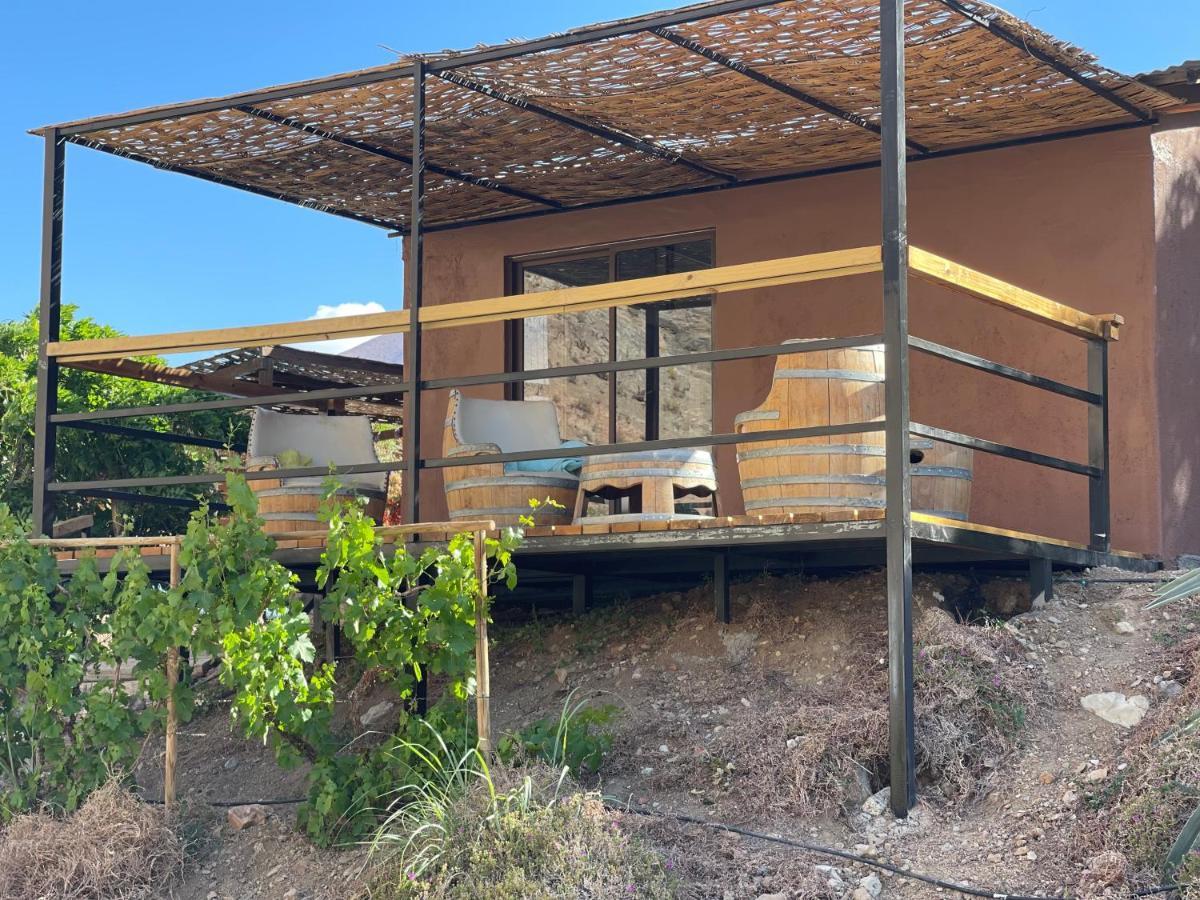 Refugios Pisco Elqui Villa Kültér fotó